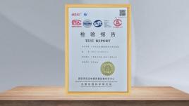 檢驗(yàn)報(bào)告